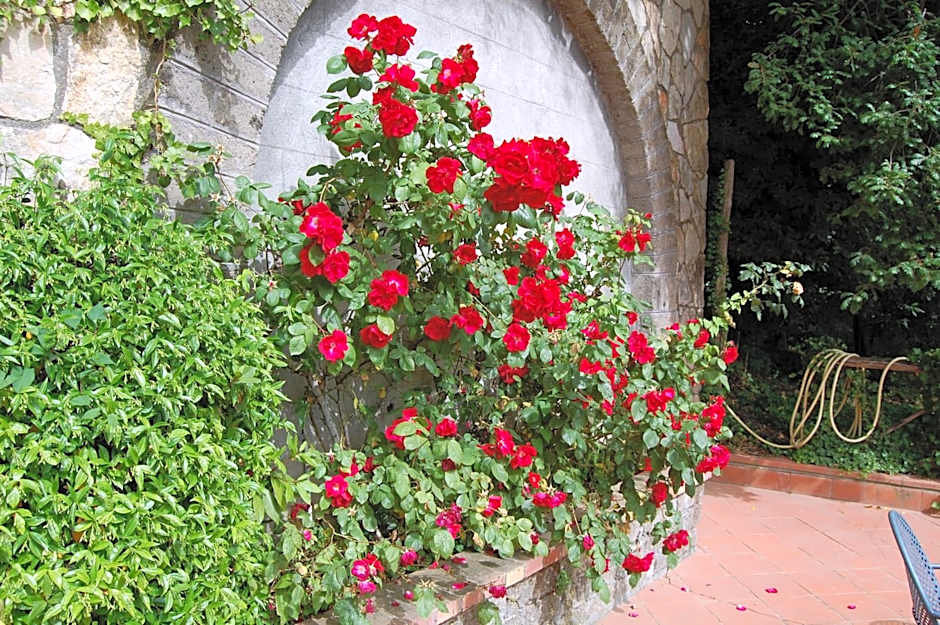 Villa Romita
