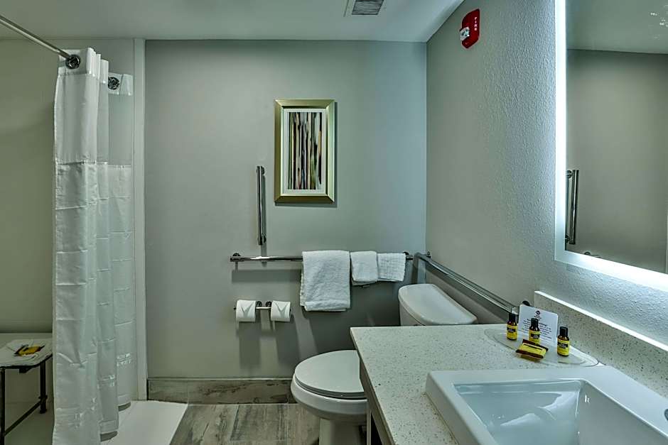 Photo 1 of 5 of 1 King Bed with Sofabed Suite, Mobility Accessible, Roll in Shower