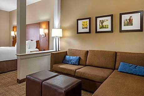 1 King Bed  Suite  No Smoking  Accessible Room