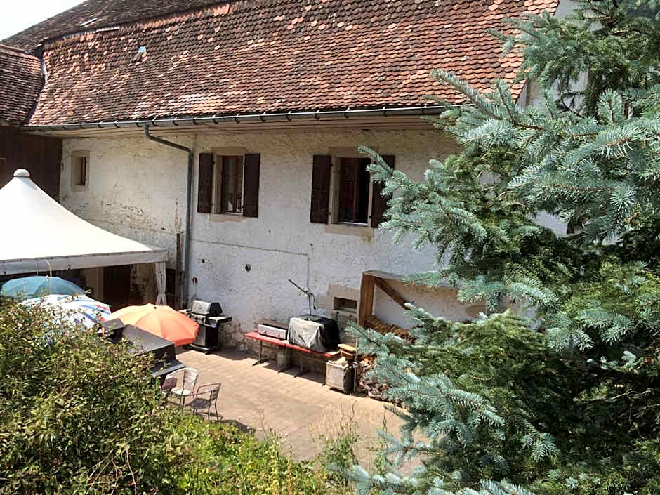 Chez Dodo 2534 Orvin Le Foncet