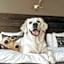 Lapland Hotels Kuopio