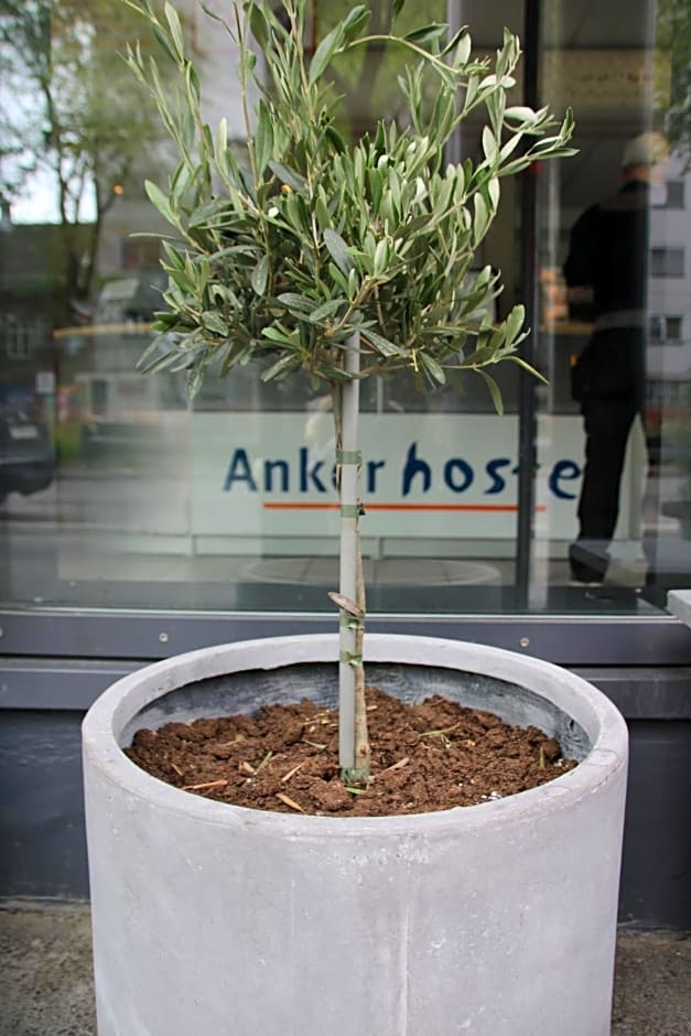 Anker Hostel