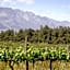 Duikersdrift Winelands Country Escape