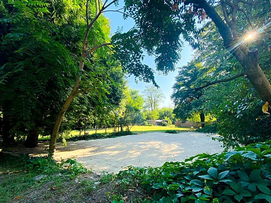 Tikazéla - Escale Tournon-Sur-Rhône