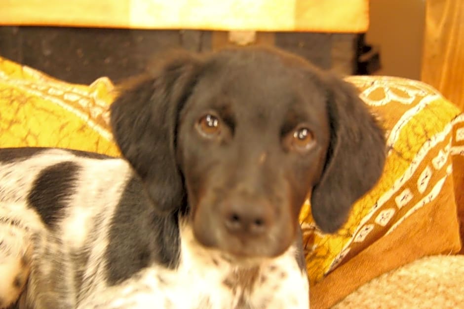 Chambre d'Hôte "Chez Antoinette et Charles"