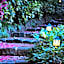 Linden Gardens Rainforest Retreat