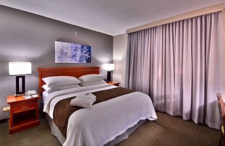 2 Room Premium Suite-1 King Bed-Nonsmoking