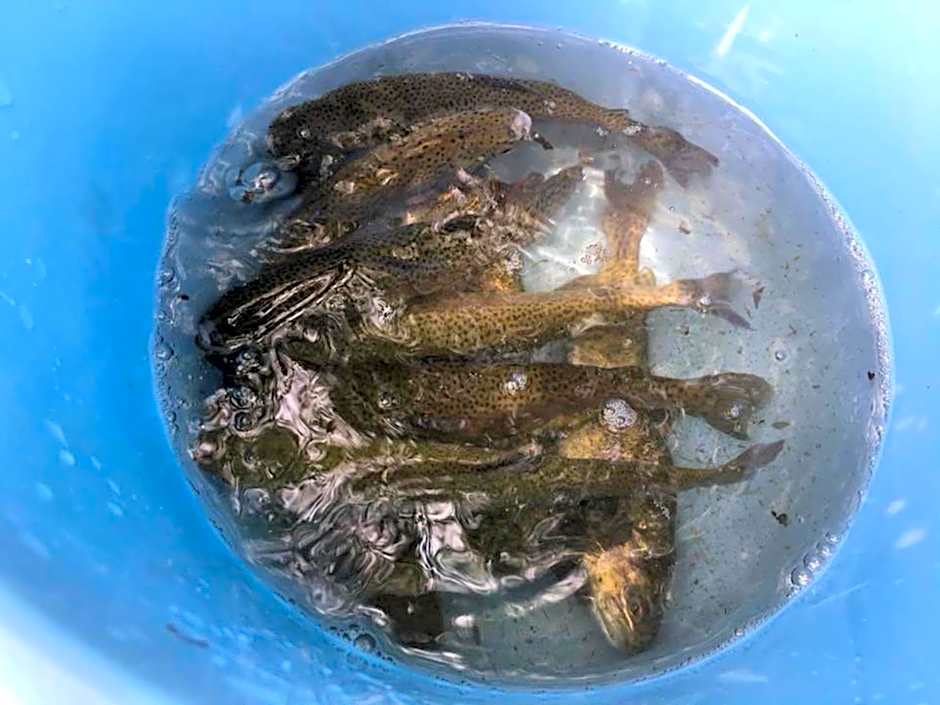 Oyado Fubuki - Vacation STAY 45512v