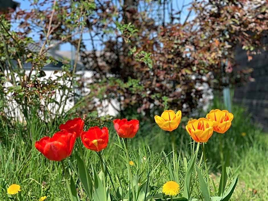 Altes Zehnthaus Geierlay