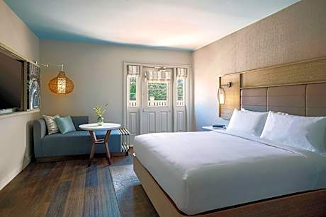 deluxe guest room, 1 king, terrace level, balcony, terrace