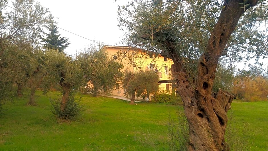 La Casa delle Storie