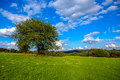 B&B Chez tante Alice