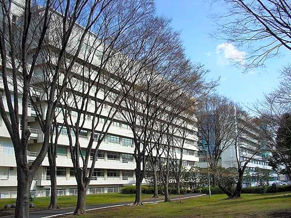 Hotel Livemax BUDGET Sagamihara