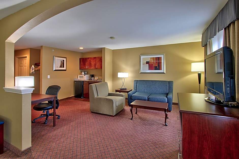 Holiday Inn Express Hotel & Suites Houston-Downtown Convention Center By IHG