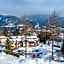 Landhaus Charlotte am Geigenbuehel -Apartments