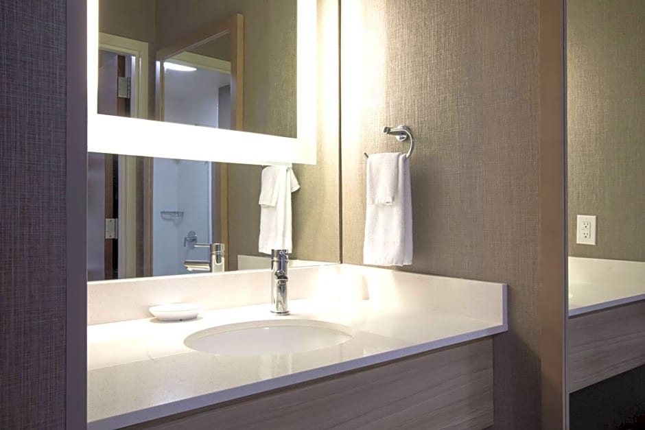 SpringHill Suites by Marriott Savannah I-95 South