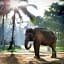Mason Elephant Park and Lodge Gianyar Bali