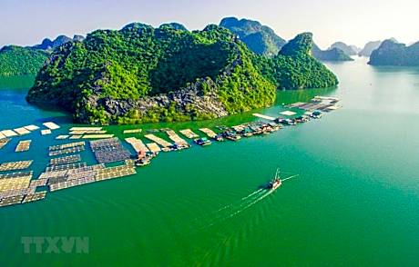 Nhà nghỉ Hưng Thơm