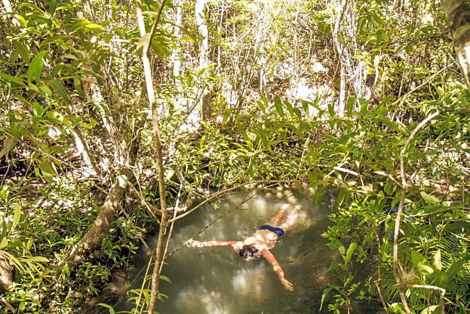 Raizando Ecologia Humana