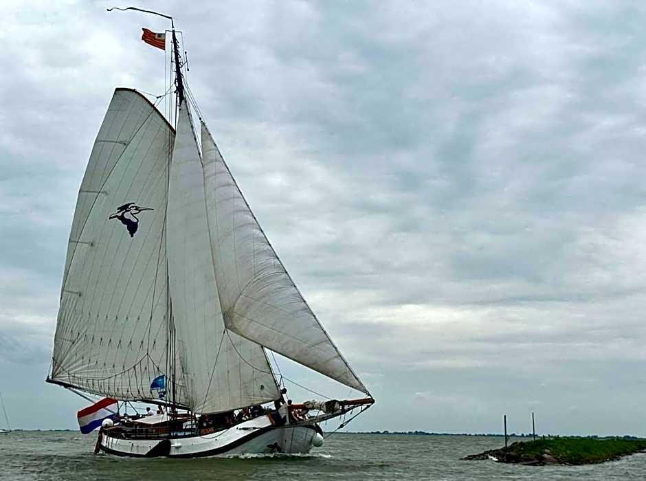 tjalkjacht pelikaan enkhuizen