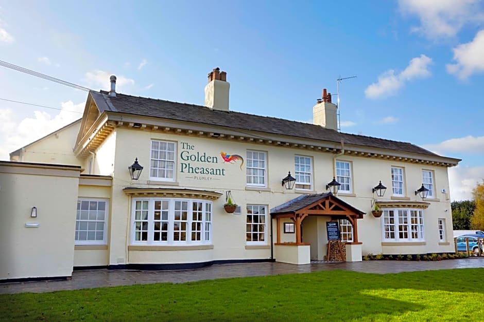 The Golden Pheasant