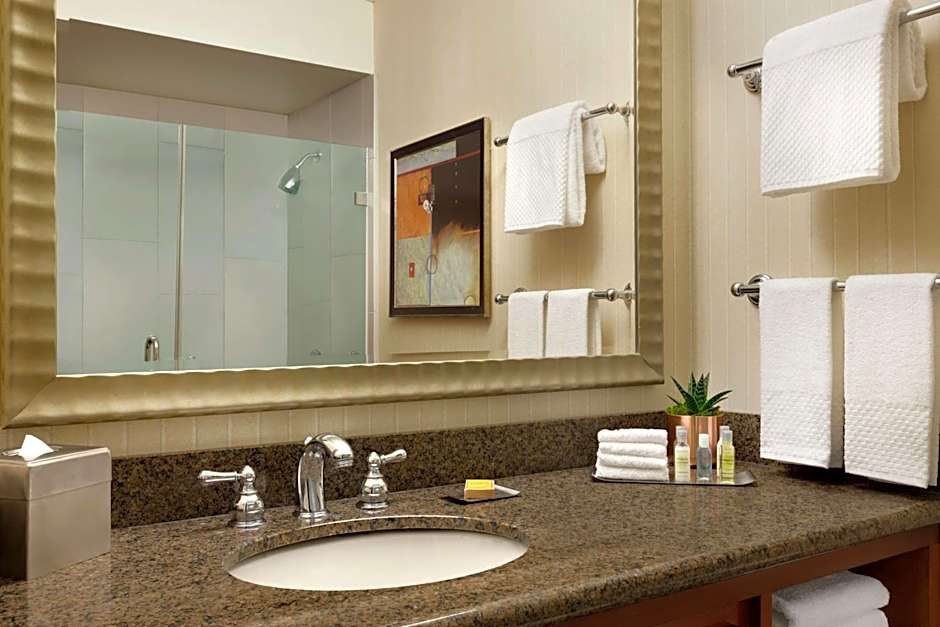 DoubleTree By Hilton Hotel Minneapolis Park Place