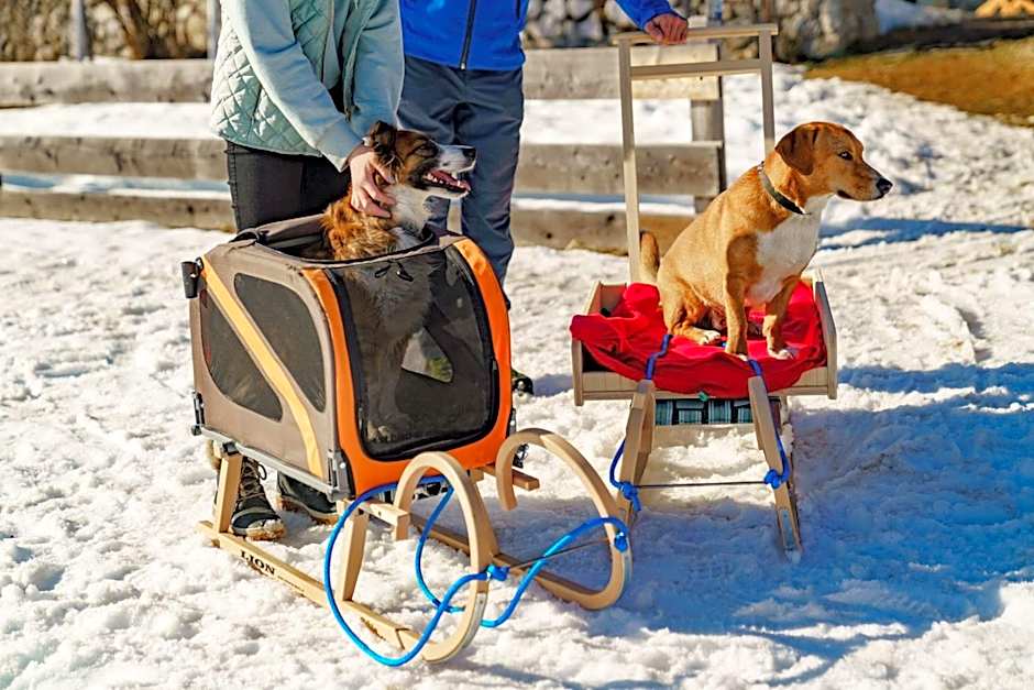 Almfrieden Hotel & Romantikchalet