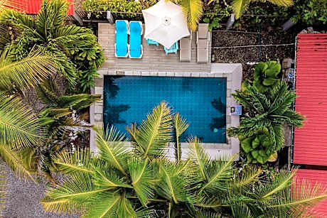Rooms & Pool Macaws