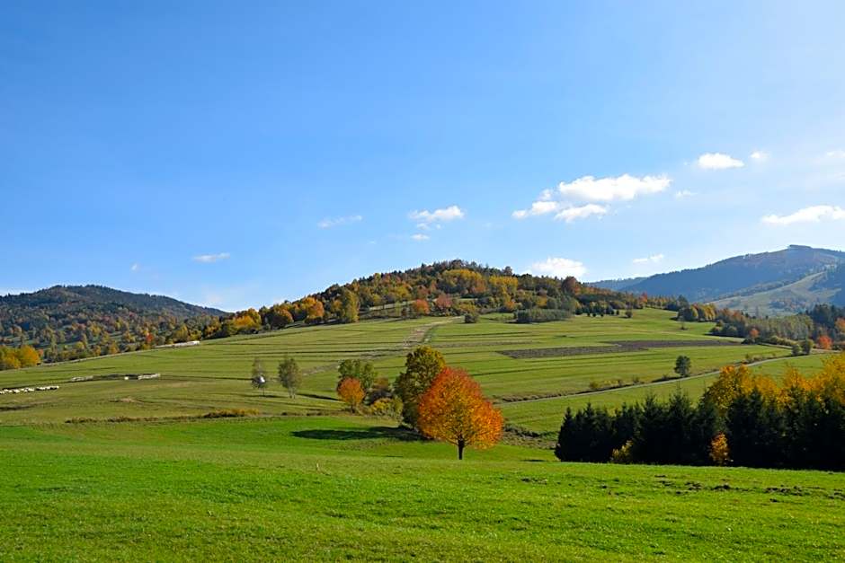 Lawendowe Wzgórze 21 dom z jacuzzi na wyłączność