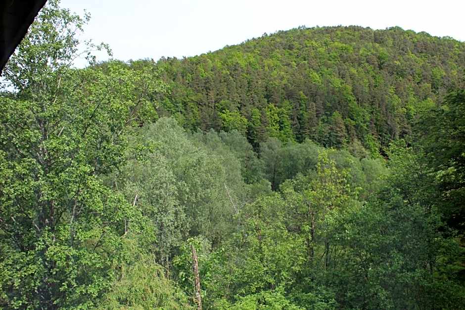 Pension Waldhof am Stubenbergsee