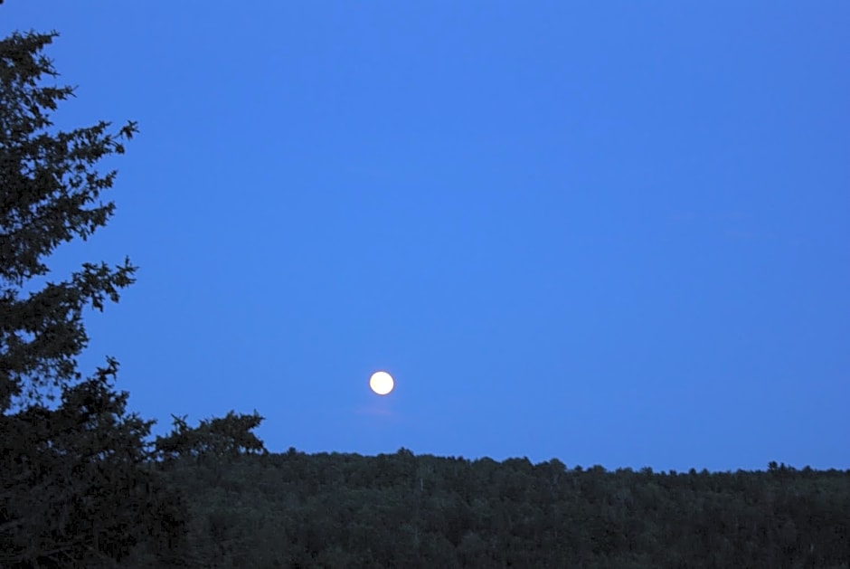 Top of Algonquin Bed and Breakfast