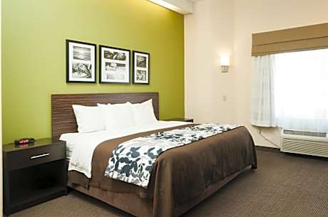 King Room - Non-Smoking