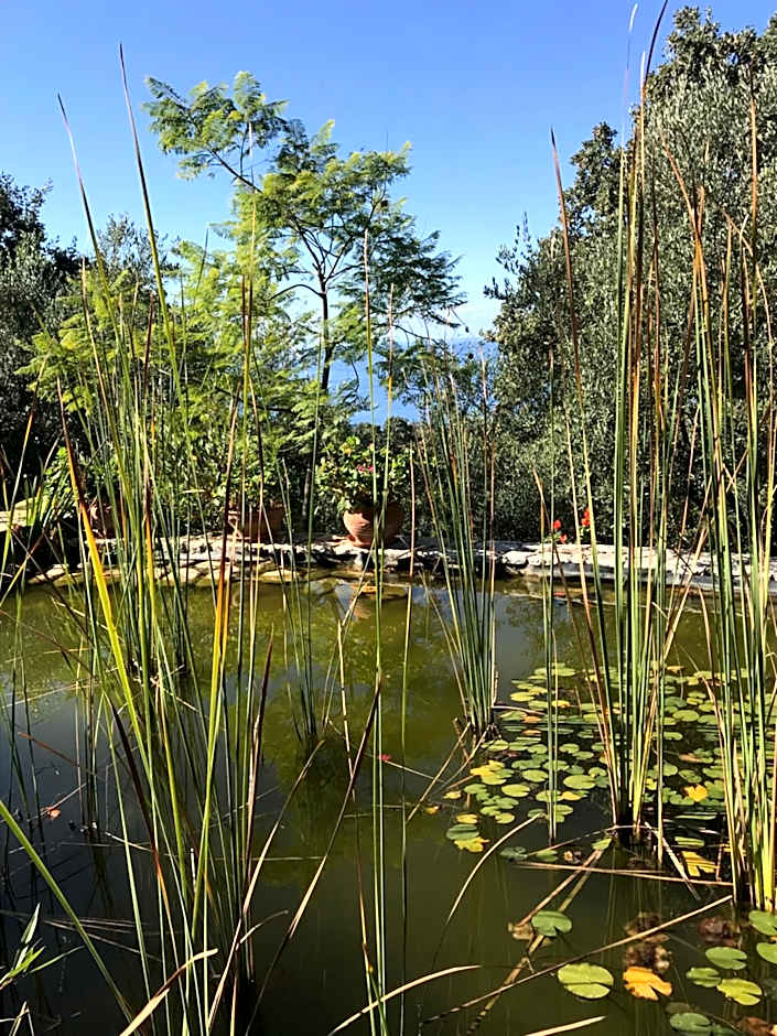 Bio Guesthouse Mani Sonnenlink