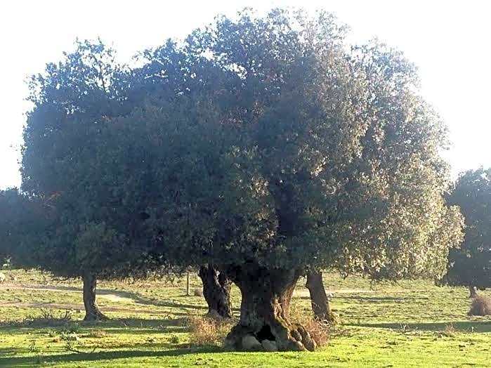 Orgosolo B&B Sardegna