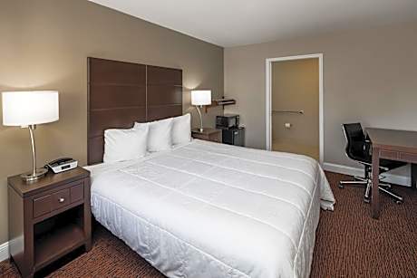 Queen Room - Disability Access/Non-Smoking