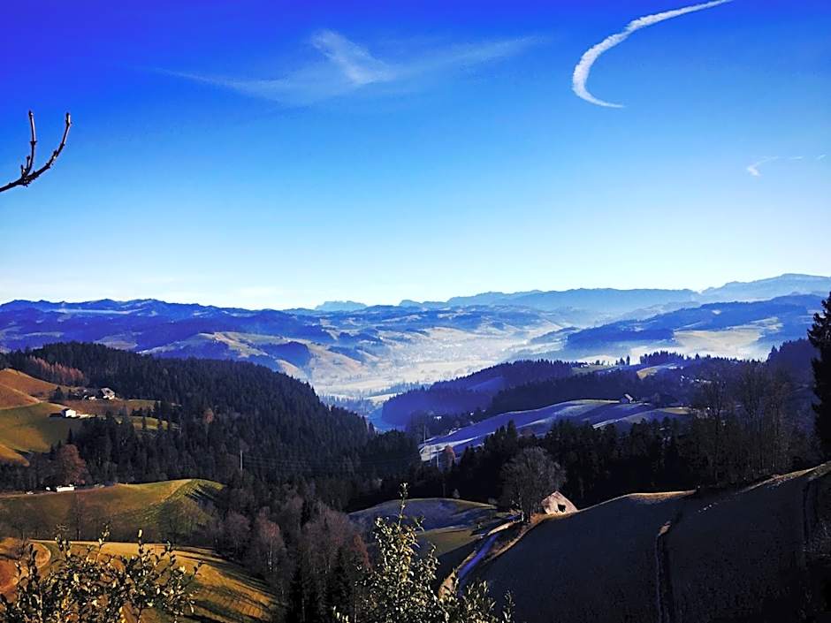 Boutique Hotel Moosegg