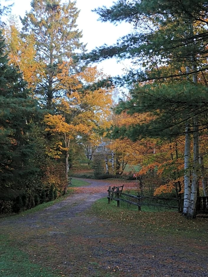 Suite in the Bush-Private Apartment