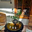 Riad Zayane Atlas