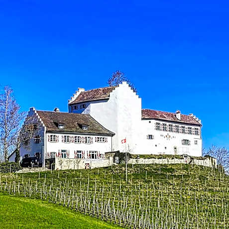Hotel & Restaurant Schloss Schwandegg