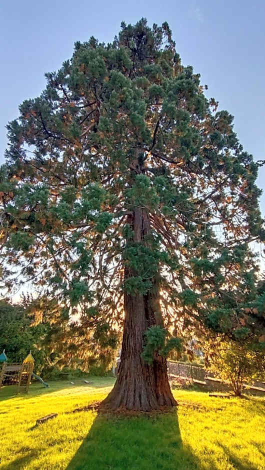 Cosy Er Lann Chambres d'Hôtes