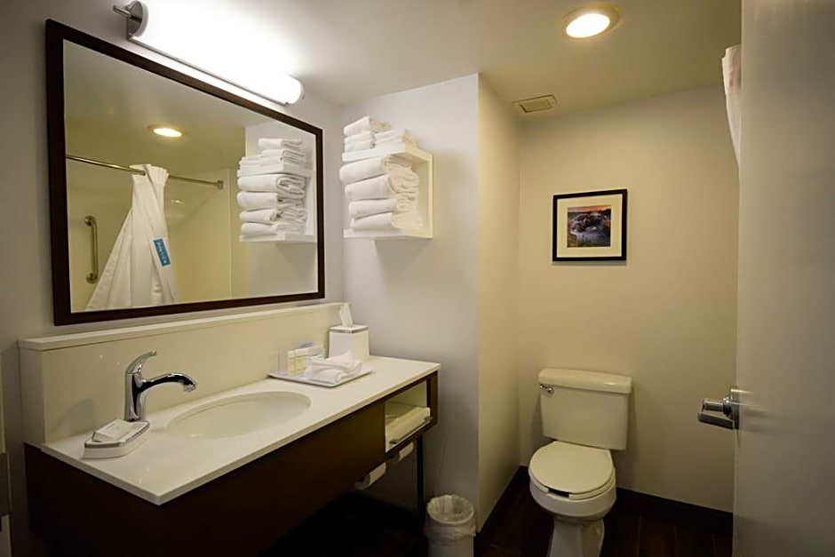 Hampton Inn Salem East-Electric Road