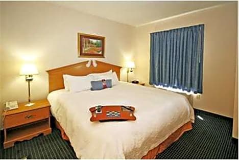 Hampton Inn Ft. Chiswell-Max Meadows
