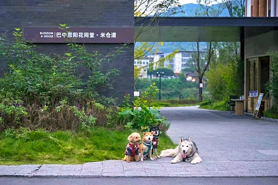 Blossom House Bazhong Enyang Micang Dao