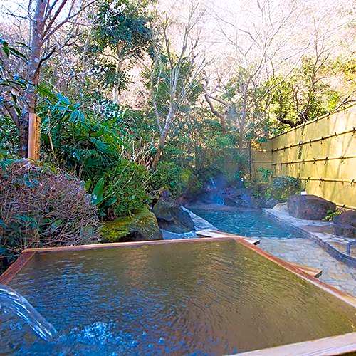 Atsugiiiyama Onsen Motoyu Ryokan