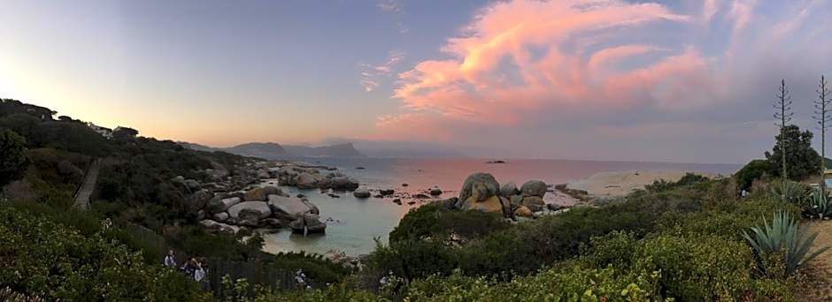 Bosky Dell on Boulders Beach