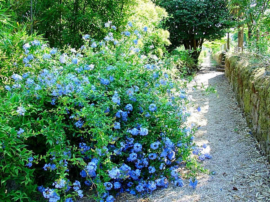 Hotel Convento dos Capuchos