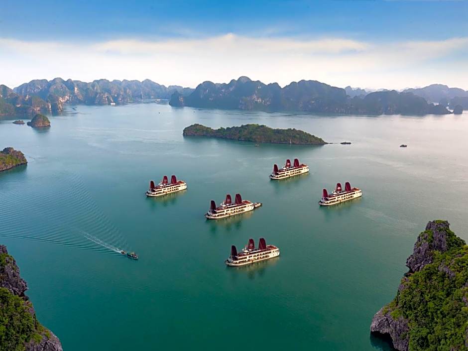 Orchid Trendy Cruise