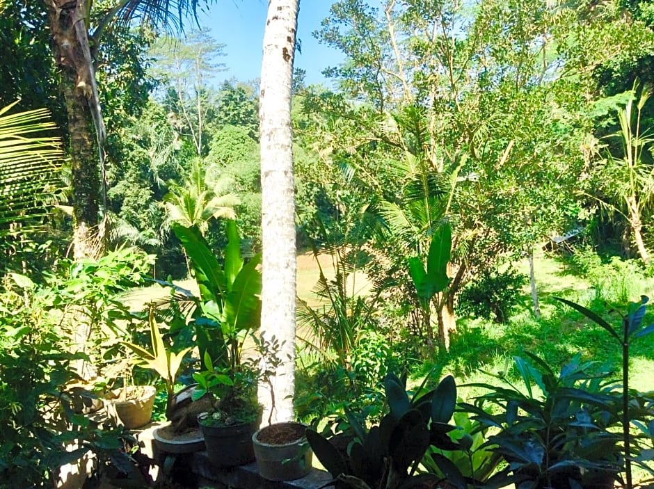 Rumah Irak Et Kadek Bali – Ubud, CO