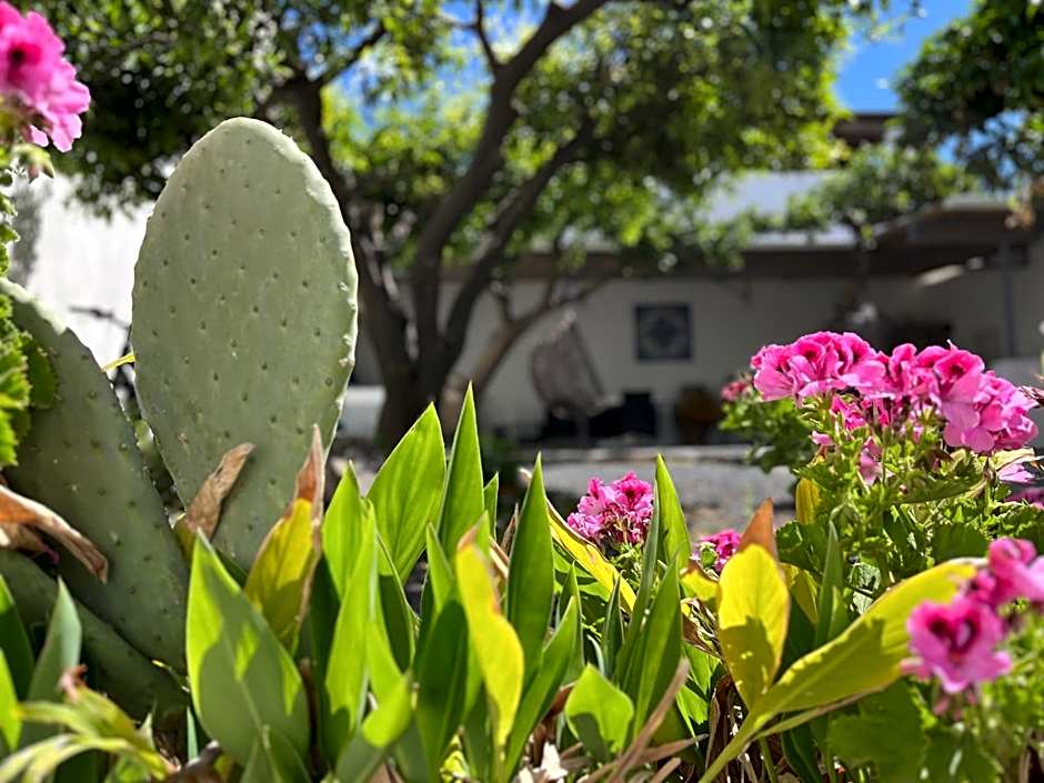 Punta Sallustro Lipari