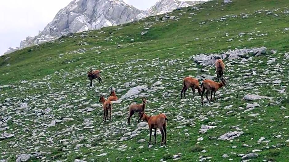 B&B La casa dei nonni